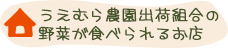 うえむら農園出荷組合の野菜が食べられるお店